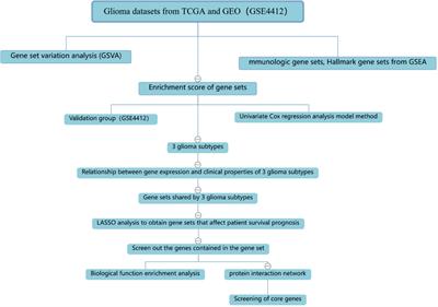 Glioma Subtypes Based on the Activity Changes of Immunologic and Hallmark Gene Sets in Cancer